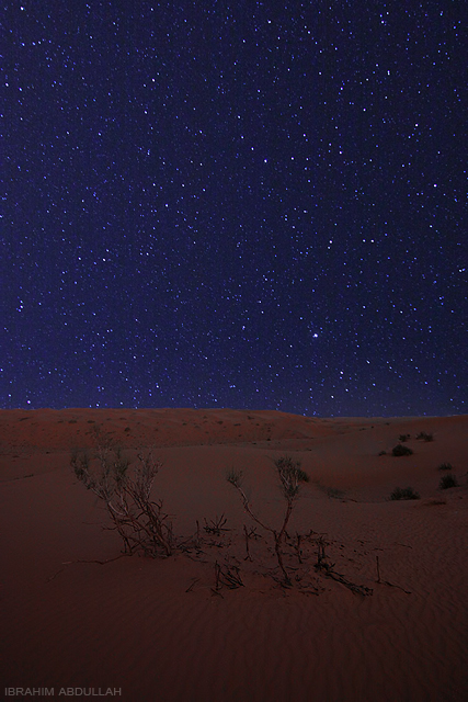 تصوير حركه النجوم 2013 2014 13309714711.jpg